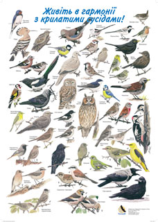 Плакат «Живіть в гармонії з крилатими сусідами»