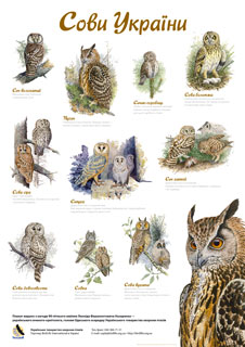 Плакат «Сови України»